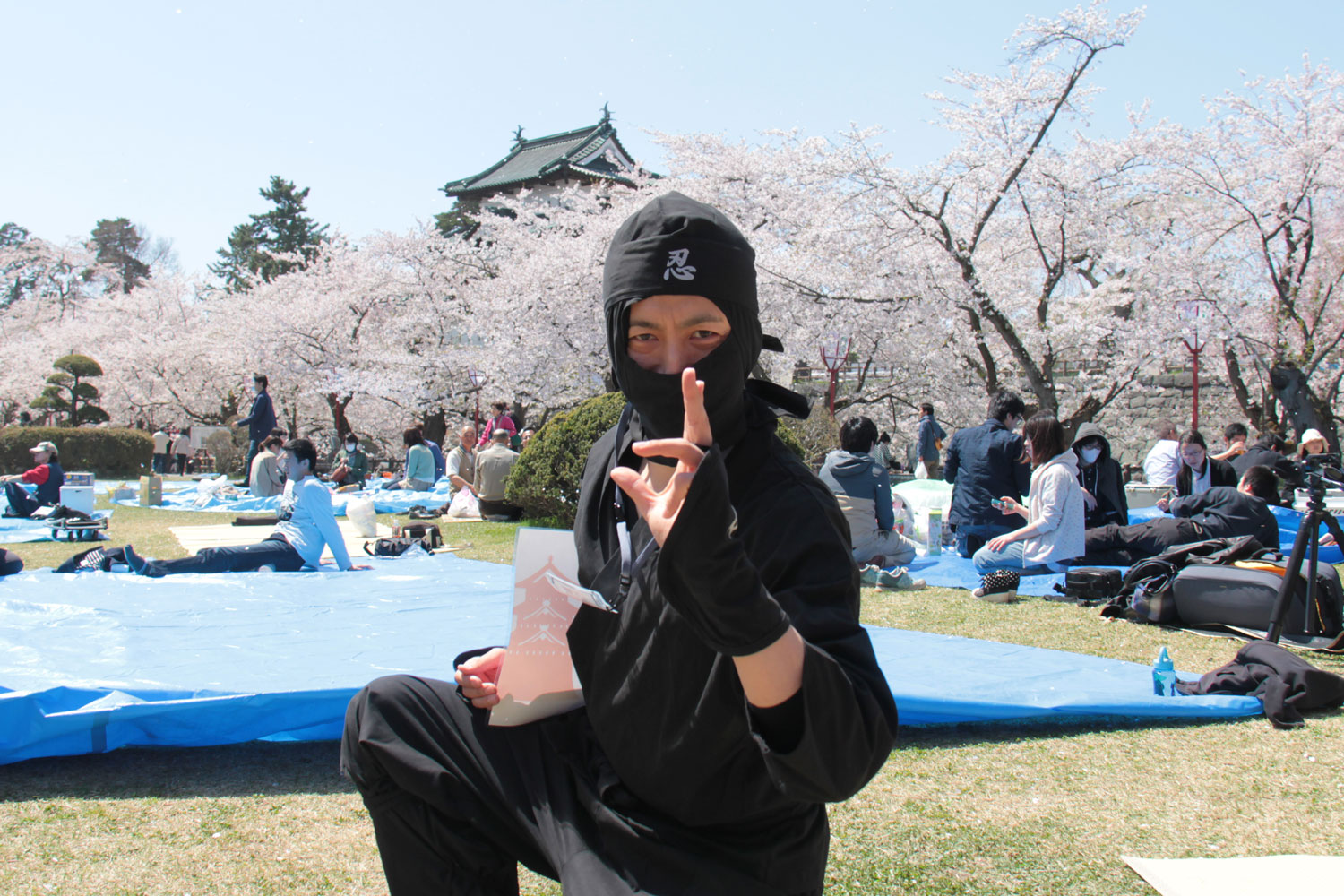 Hirosaki Cherry Blossom Festival
